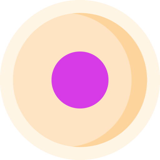 Rec button icon