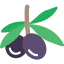 Olives icon 64x64