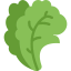 Salad icon 64x64