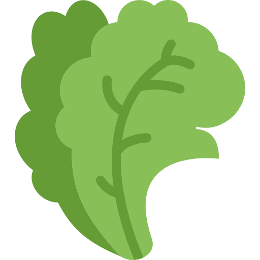 Salad icon