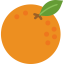 Orange icon 64x64