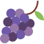 Grapes icon 64x64