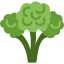 Broccoli icon 64x64