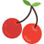Cherries アイコン 64x64
