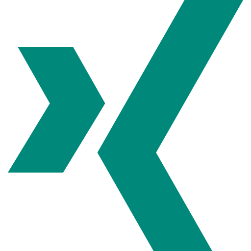 Xing icon