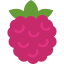 Raspberry 상 64x64