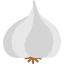 Garlic icon 64x64