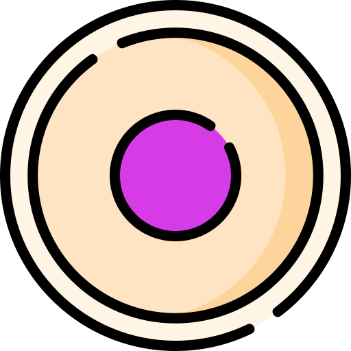 Rec button icon