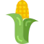 Corn icon 64x64