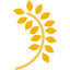 Oat icon 64x64