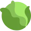 Cabbage icon 64x64