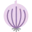 Onion icon 64x64