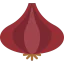 Onion icon 64x64