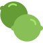 Lime icon 64x64
