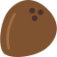 Coconut icon 64x64