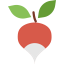 Radish icon 64x64