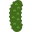 Cucumber icon 64x64