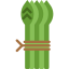 Asparagus icon 64x64