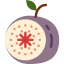 Fig icon 64x64