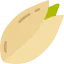 Pistachio icon 64x64