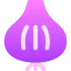 Onion icon 64x64
