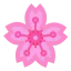 Sakura アイコン 64x64