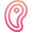Steak icon 64x64