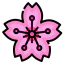 Sakura アイコン 64x64