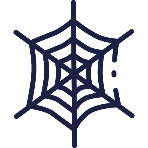 Spider web icon