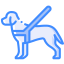 Guide dog icon 64x64