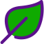 Leaf icon 64x64