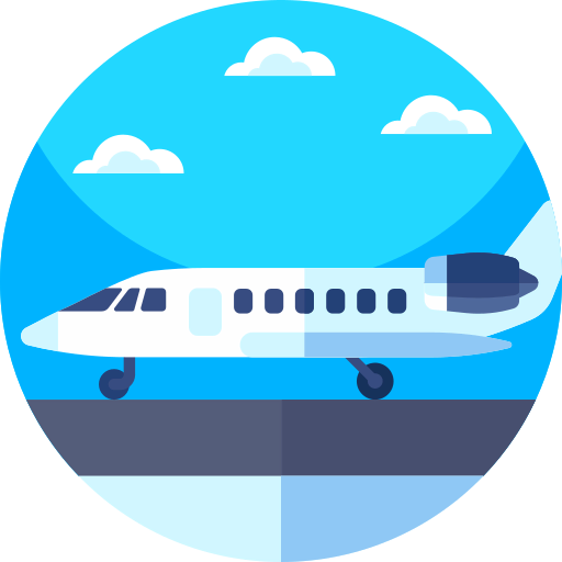 Private jet icon