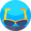 Sunglasses icon 64x64