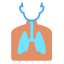 Lungs icon 64x64