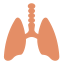 Lungs icon 64x64
