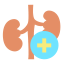 Kidney icon 64x64