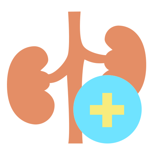 Kidney icon