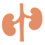 Kidney icon 64x64