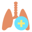 Lungs icon 64x64