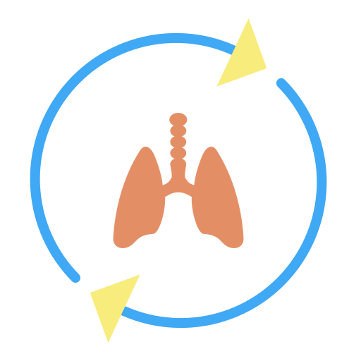 Lungs icon
