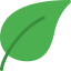 Leaf icon 64x64