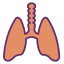 Lungs icon 64x64