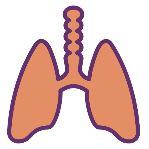 Lungs icon