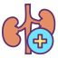 Kidney icon 64x64