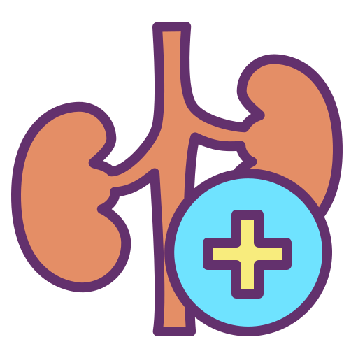 Kidney icon