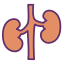 Kidney icon 64x64