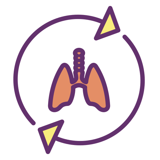 Lungs icon