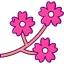 Cherry blossom icon 64x64