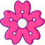 Sakura アイコン 64x64