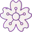 Sakura アイコン 64x64